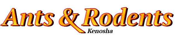 Kenosha Ant Exterminator & Rodent Control Company Logo